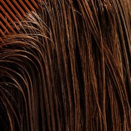 The Signature Trend Reset